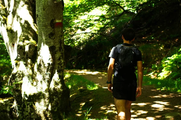 若い男が山の中をハイキングし — ストック写真