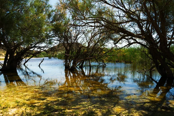 Tatlının ortasında küçük bir vaha.