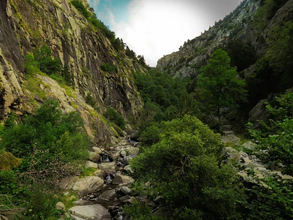 Rivière Montagne Dans Les Montagnes Queralbs — Photo