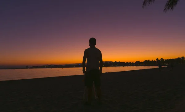 Силуэт Молодого Человека Пляже Роз — стоковое фото