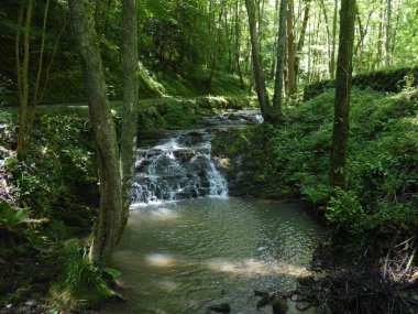 Bask ülkesinin dağlarındaki nehir.