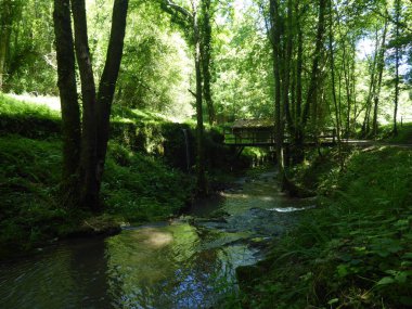 Bask ülkesinin dağlarındaki nehir.