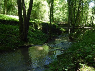 Bask ülkesinin dağlarındaki nehir.