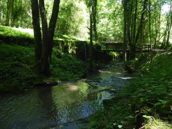 Bask ülkesinin dağlarındaki nehir.