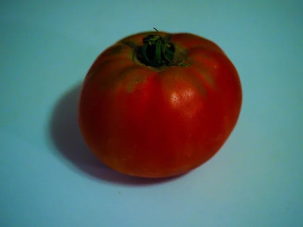 1人のトマトを白いテーブルに入れ — ストック写真