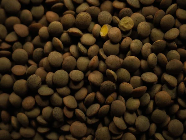 Kahverengi mercimek deseni