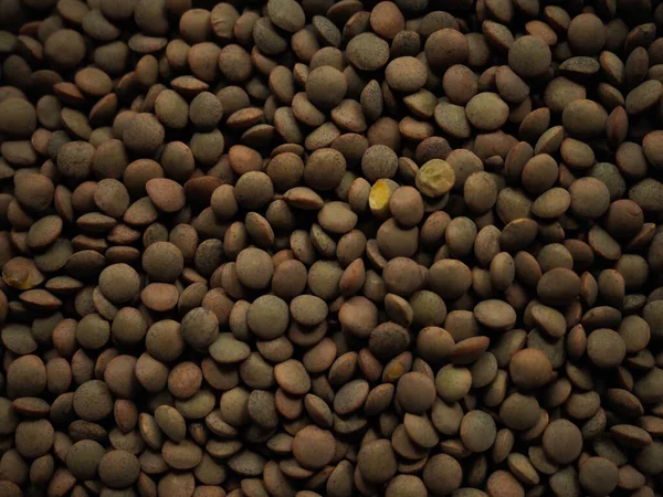 Kahverengi mercimek deseni