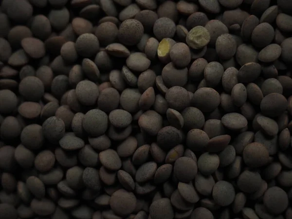 Kahverengi mercimek deseni