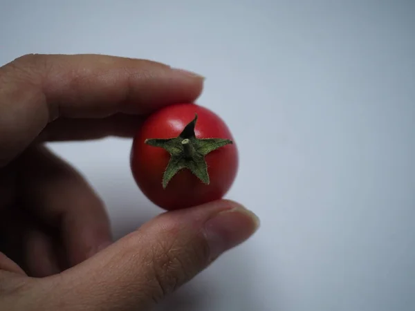 女性の手に桜のトマト — ストック写真