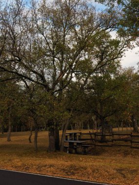 Dağlardaki piknik alanı manzarası