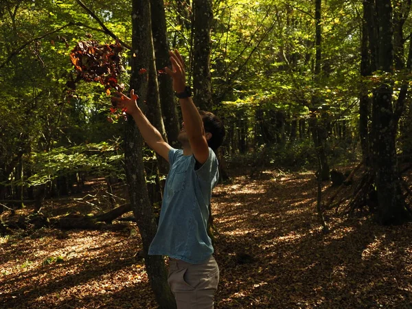 Jovem Jogando Folhas Parque — Fotografia de Stock