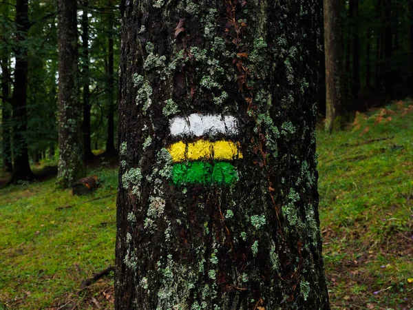 Vandringstecken Ett Träd Skogen — Stockfoto