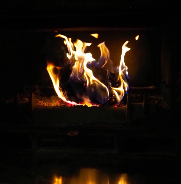 Ateşin üzerinde biraz odun