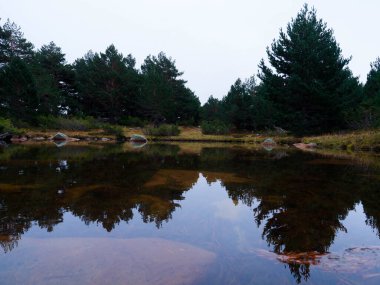 Kışın neila göllerinin manzarası