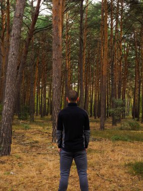 Çam ormanında tanınmaz bir genç adam