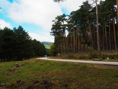 Sonbaharda Soria 'da bir yol manzarası