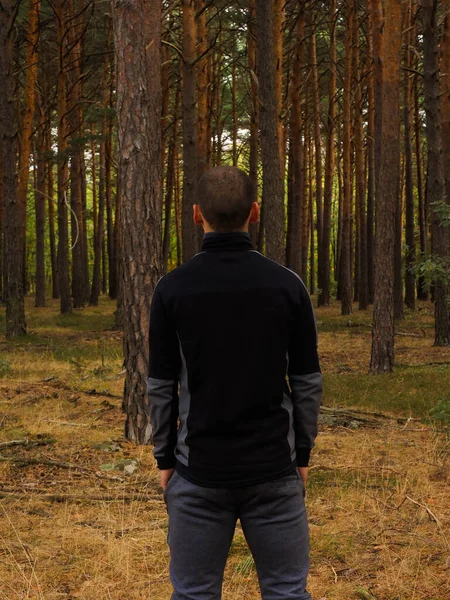 unrecognizable young man in a pine forest
