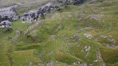 Belagua 'daki dağlardaki koyunların drone' undan görüntü