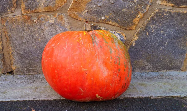 Halloween Grande Citrouille Dans Rue — Photo