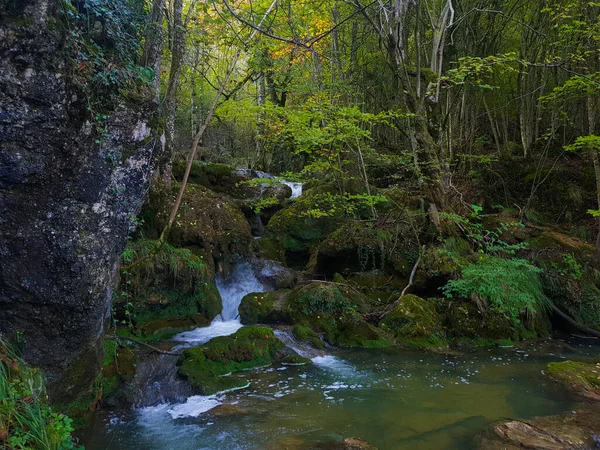 Cachoeira Floresta Andoin Alava — Fotografia de Stock