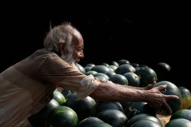 Bilaspur, Chhattisgarh / Hindistan - 06-11-2019, Karpuz satıcısı yaşlı adam Hindistan 'da bir pazarda .