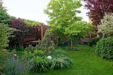 Ahşap bir çardağı ve büyük bir manolyası olan bahçe.