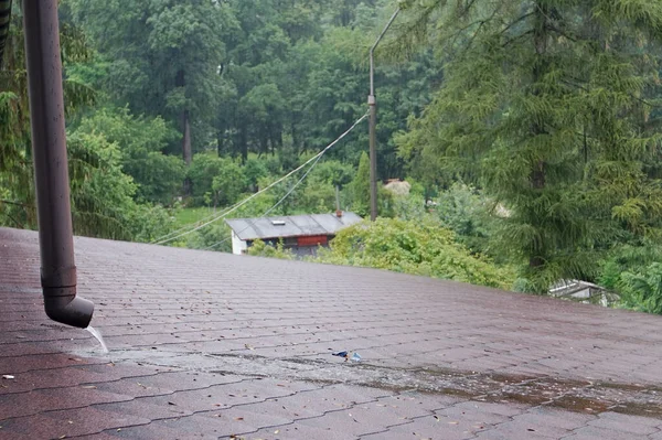 Water Comes Out Gutter Falls Roof — Stock Photo, Image