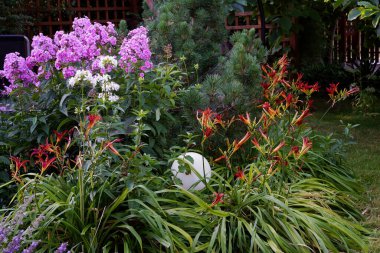 Filipinler, zambaklar ve bahçedeki çam ağaçları