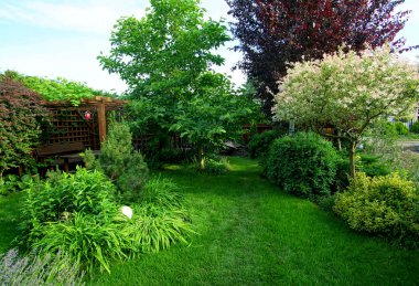 Söğüt, erik ve manolya bahçeleri