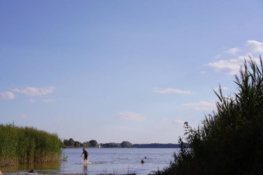 Rybojedzko, Polonya - 29 Temmuz 2020: insanlar sahilde ve gölde