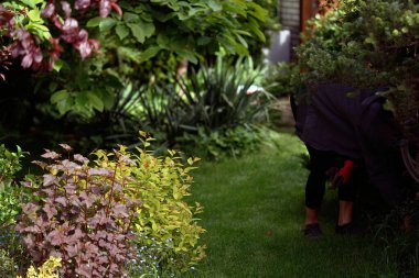 Bahar bahçesinde çalışan bir kadın.