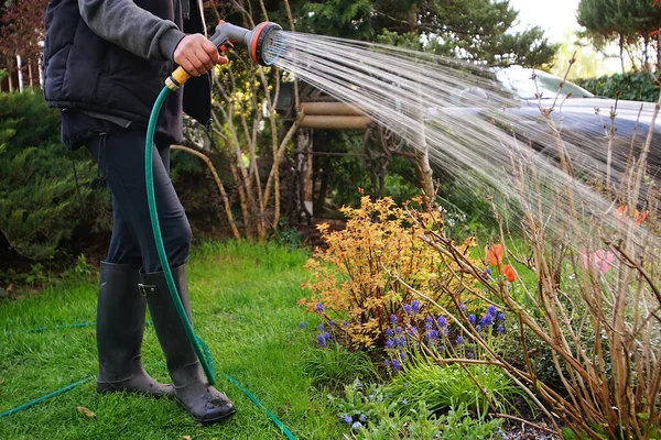 watering the garden in the spring