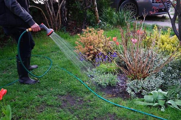 watering the garden in the spring