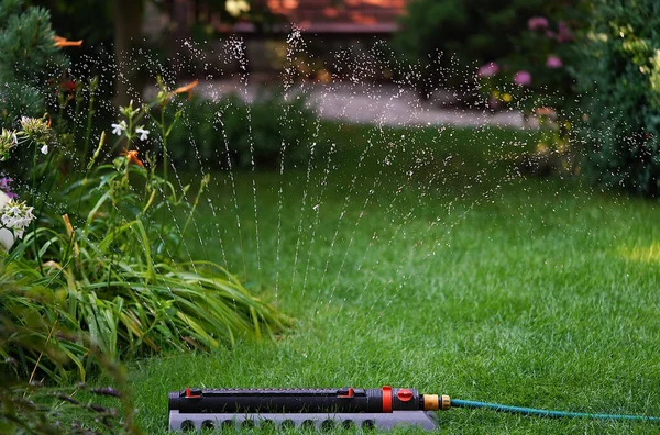 Irrigazione Del Prato Con Irrigatore — Foto Stock