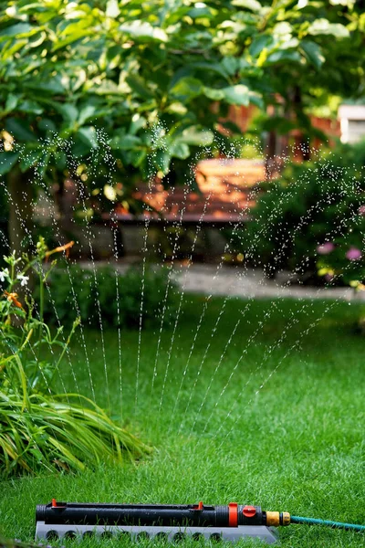 watering the lawn using a sprinkler