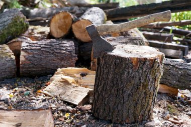 Ağaç gövdesine sıkışmış eski bir balta.