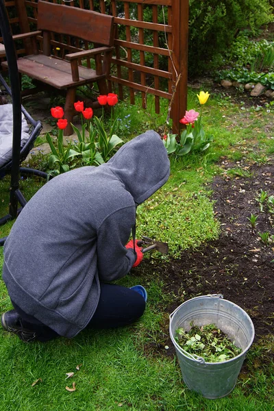 Una Donna Lava Giovani Erbacce Primavera Giardino — Foto Stock