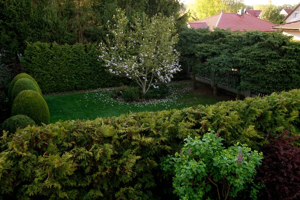 Suburban Landscape Small Gardens — Stock Photo, Image