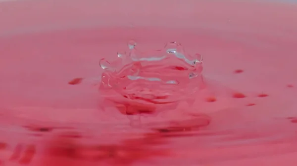 Pink color drop falling and splashing in water, creative forms freezing