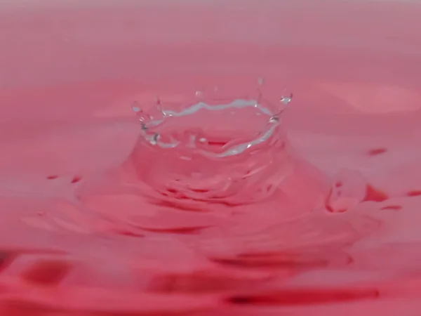Gota Cor Rosa Cair Espirrar Água Formas Criativas Congelamento — Fotografia de Stock