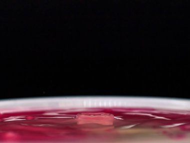 Pembe renk düşer ve suya düşer, düşen duygular donar.