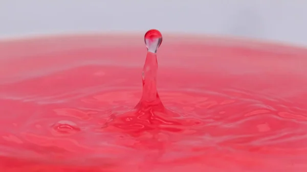 Caída Color Rosa Salpicaduras Agua Formas Creativas Congelación — Foto de Stock