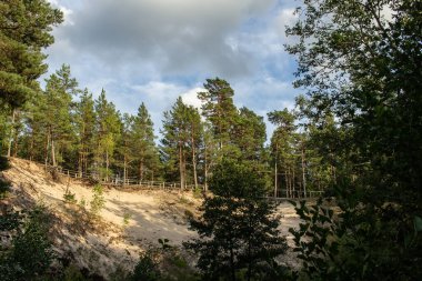 Ormandaki doğal kum dağı.