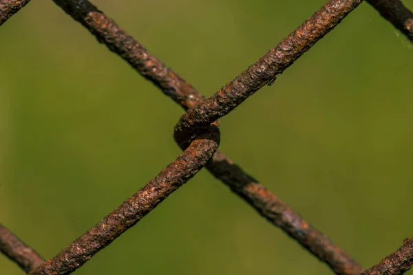 錆びた古い金属製のフェンスが閉じ 草の背景を織ります — ストック写真