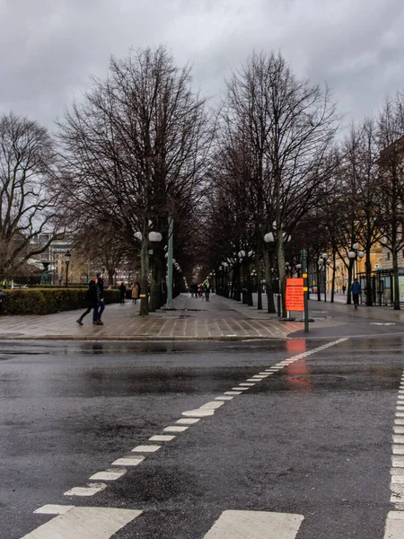 Stockholm Sweden February 2020 Rainy Day City Street Tree Line — Stock Photo, Image