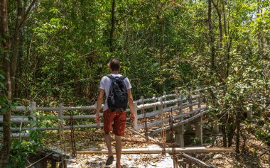 Tayland doğal parkı, yürüyüş yolu