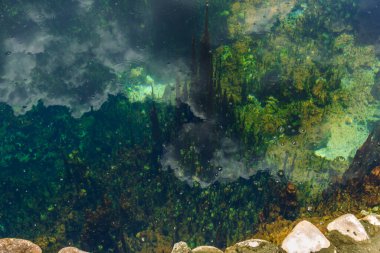 Doğal havuz sualtı dünya görüşü