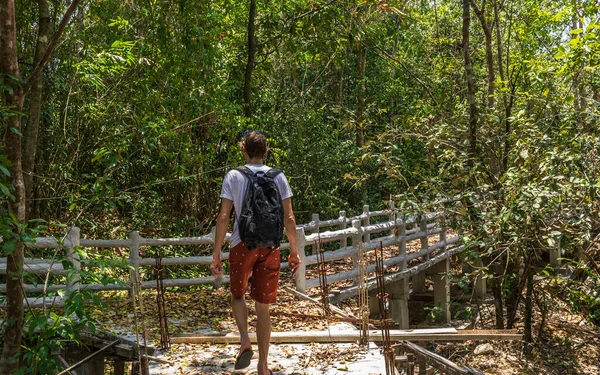 Tayland doğal parkı, yürüyüş yolu