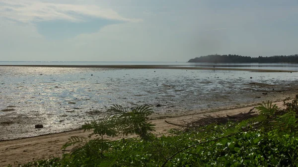 Slak Overdekt Droog Strand — Stockfoto