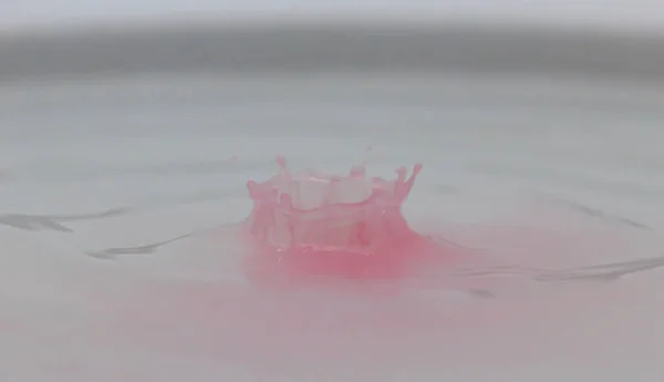 pink Water drop and splash creative forms  made